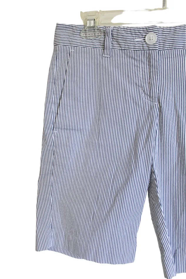 Ann Taylor LOFT Rings Ann Taylor Blue Striped Shorts 0