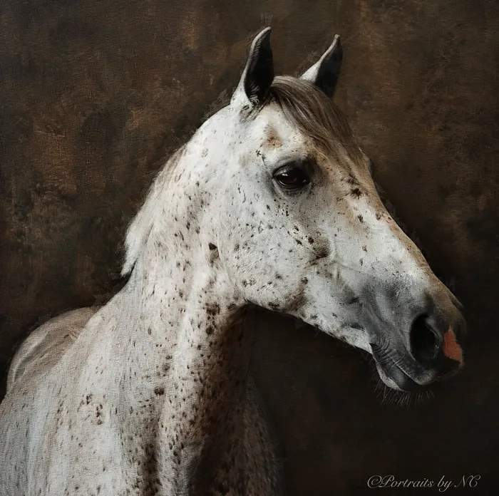 Appaloosa Horse Portrait on Brown Background Portraits by NC Earrings