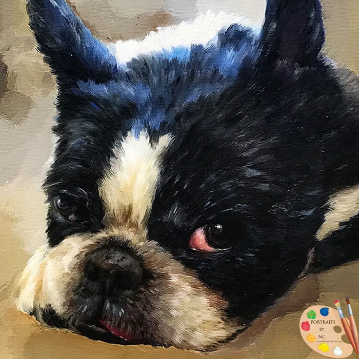 Boston Terrier Dog Oil Portrait from Photo Portraits by NC Necklaces