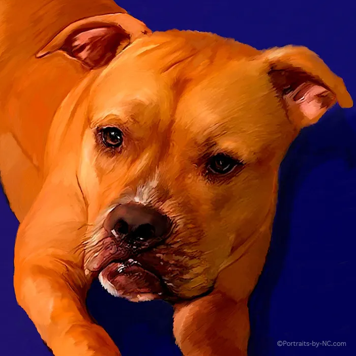 Boxer Pet Portrait Digital Portrait Portraits by NC Earrings