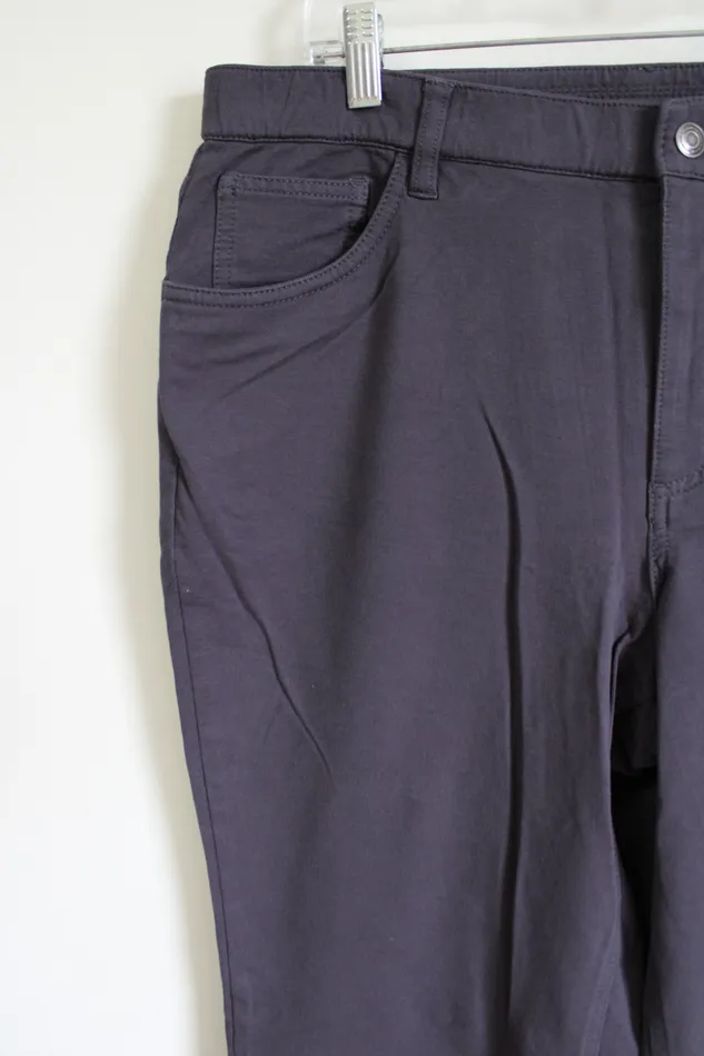 DCo Denim Co Gray Stretch Pant 16 Earrings