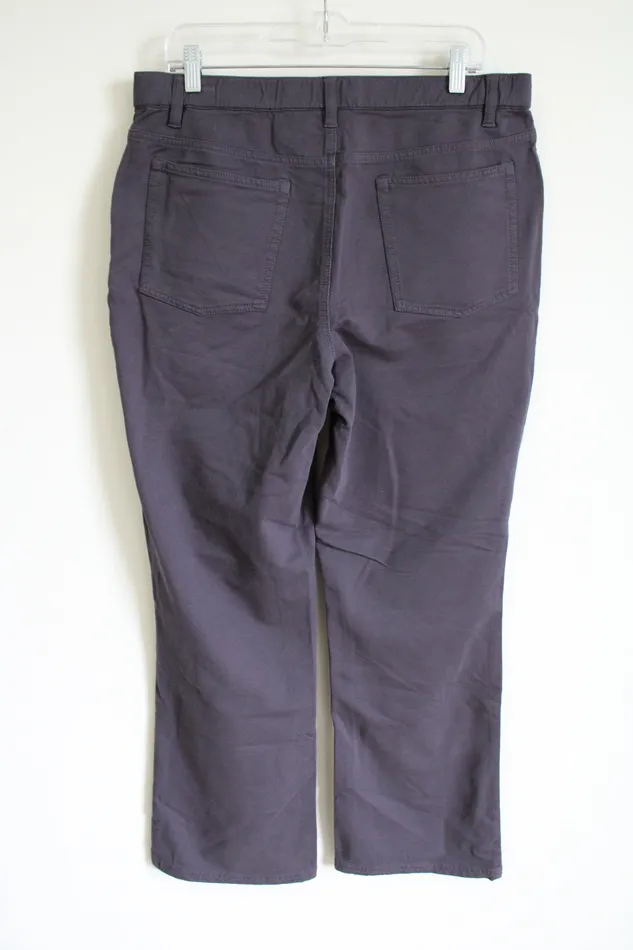 DCo Denim Co Gray Stretch Pant 16 Earrings