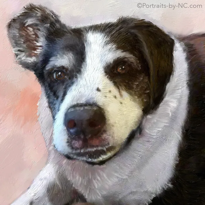 Dog Pet Portrait English Pointer Mix Portrait Portraits by NC Earrings