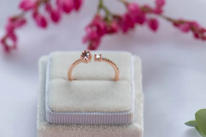 Dreamlandgt My Sweet Ring Rings