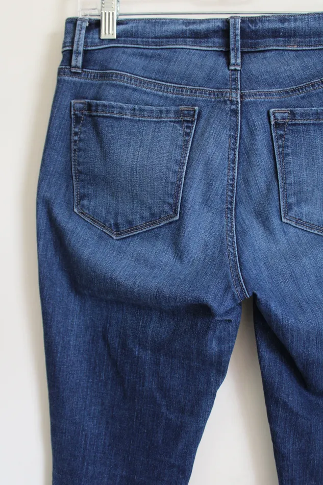 Earrings LOFT Super Skinny Jeans 4 Ann Taylor LOFT