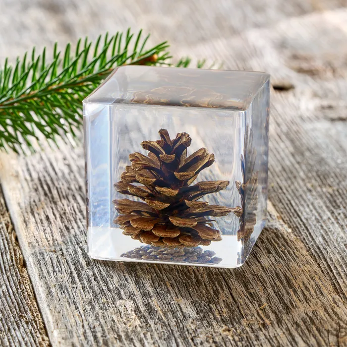 Earrings Pine Cone Paperweight Chadds Ford Jewelry