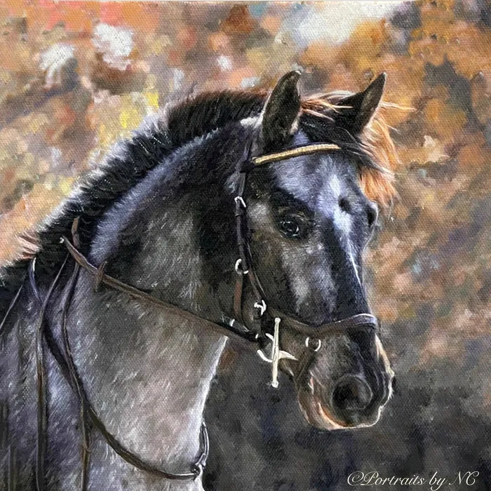 Earrings Portraits by NC Appaloosa Horse Portrait in Oil