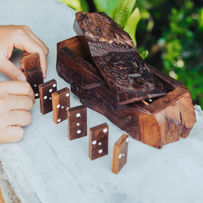 Earth View Rustic Sea Turtle Domino Set EARTHVIEW Earrings