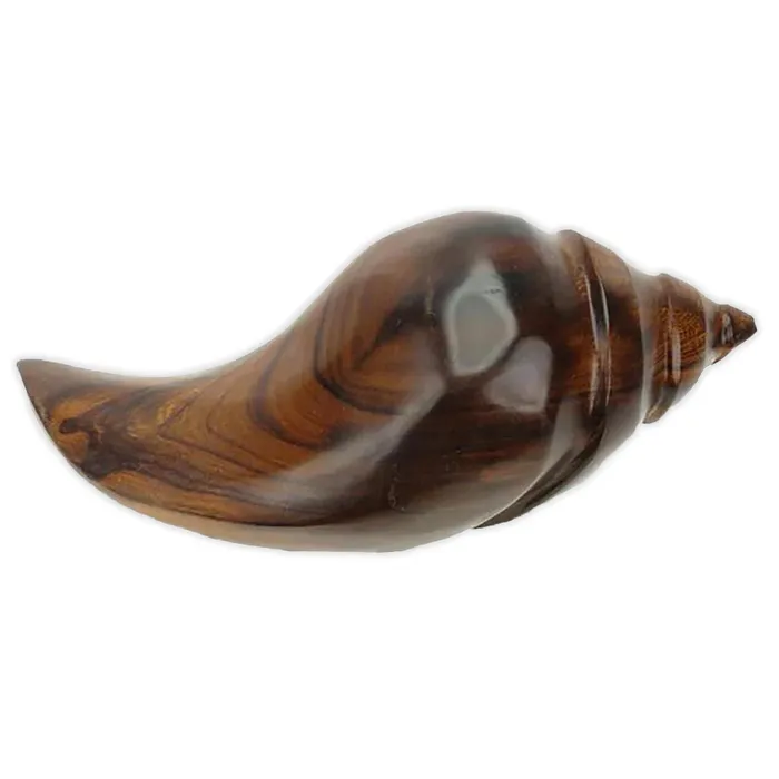 EARTHVIEW EarthView Handcarved Ironwood Conch Shell Earrings