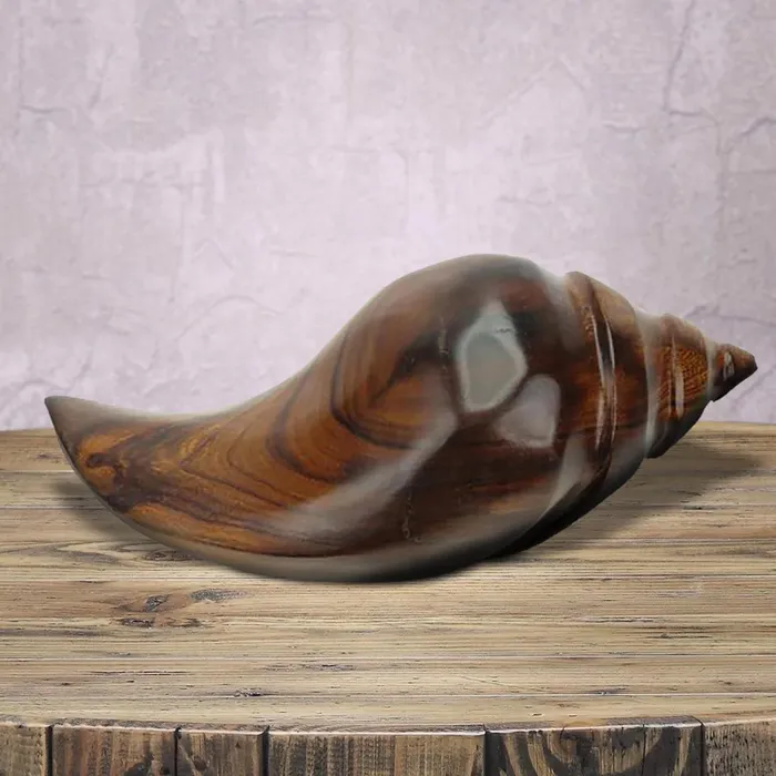 EARTHVIEW EarthView Handcarved Ironwood Conch Shell Earrings