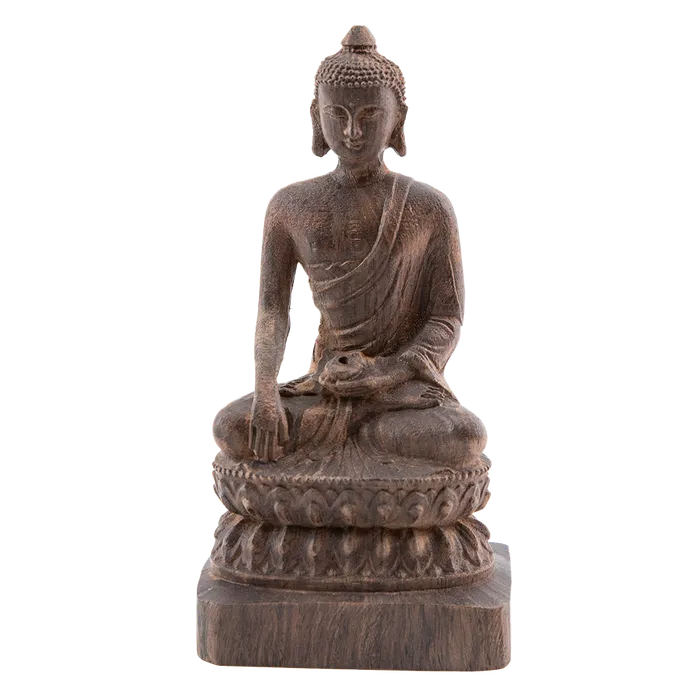 Eastern Elm Earrings Seated Medicine Buddha Statue