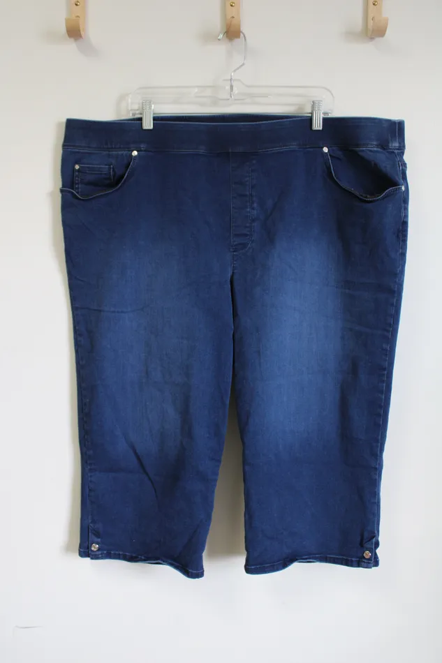 Gloria Vanderbilt Gloria Vanderbilt AllAround Slimming Effect Avery Denim Capris 24W Earrings