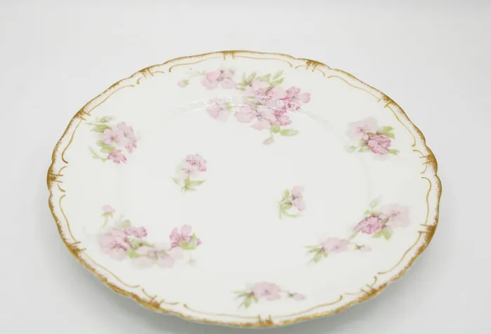 Haviland Co Limoges France China Plate 8 12 Diameter Jubilee Thrift Earrings Haviland Co Limoges France China Plate 8 12 Diameter Jubilee Thrift Earrings