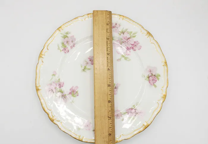 Haviland Co Limoges France China Plate 8 12 Diameter Jubilee Thrift Earrings Haviland Co Limoges France China Plate 8 12 Diameter Jubilee Thrift Earrings