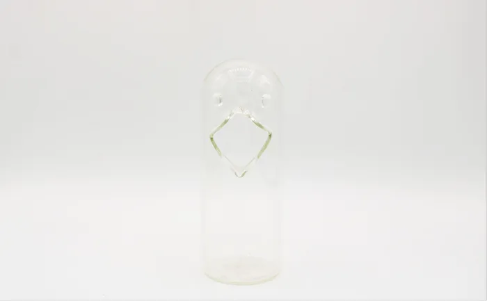 Jubilee Thrift Earrings Bird Head Clear Air Plant Holder