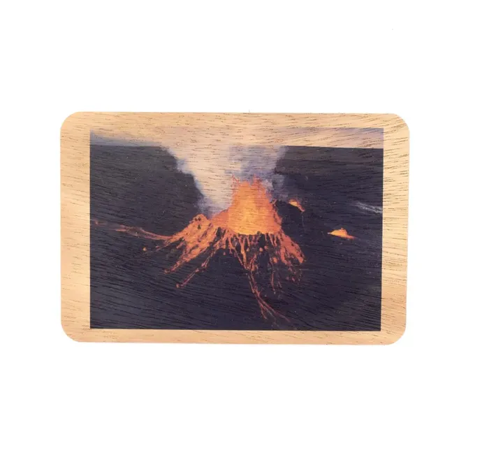 KOAKARDS Koa Kards Postcards Earrings
