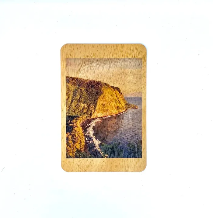 KOAKARDS Koa Kards Postcards Earrings