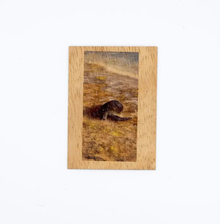 KOAKARDS Koa Kards Postcards Earrings