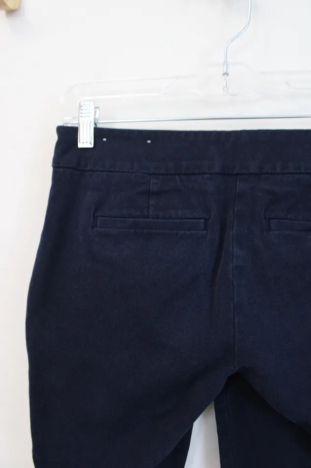LOFT Modern Skinny Ankle Dark Wash Pants 0 Petite Ann Taylor LOFT Earrings