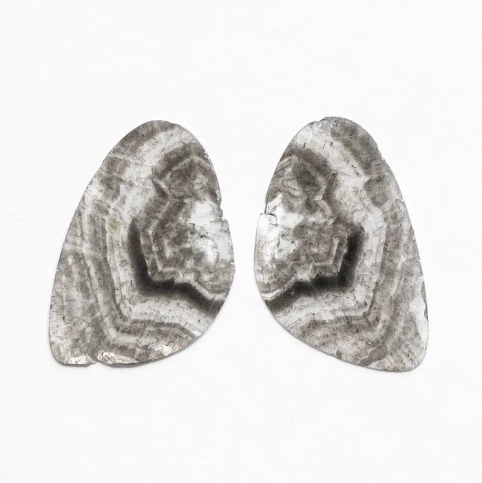 Misfit Diamonds Earrings 464cttw 2pc 2518x1632x051mm 2512x1562x051mm Diamond Slice Matching Pair 1926712 Misfit Diamonds Earrings 464cttw 2pc 2518x1632x051mm 2512x1562x051mm Diamond Slice Matching Pair 1926712