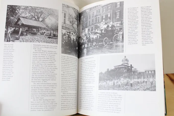 Necklaces Jubilee Thrift Berks County The Green Diamond Of Pennsylvania Book By James L Holton
