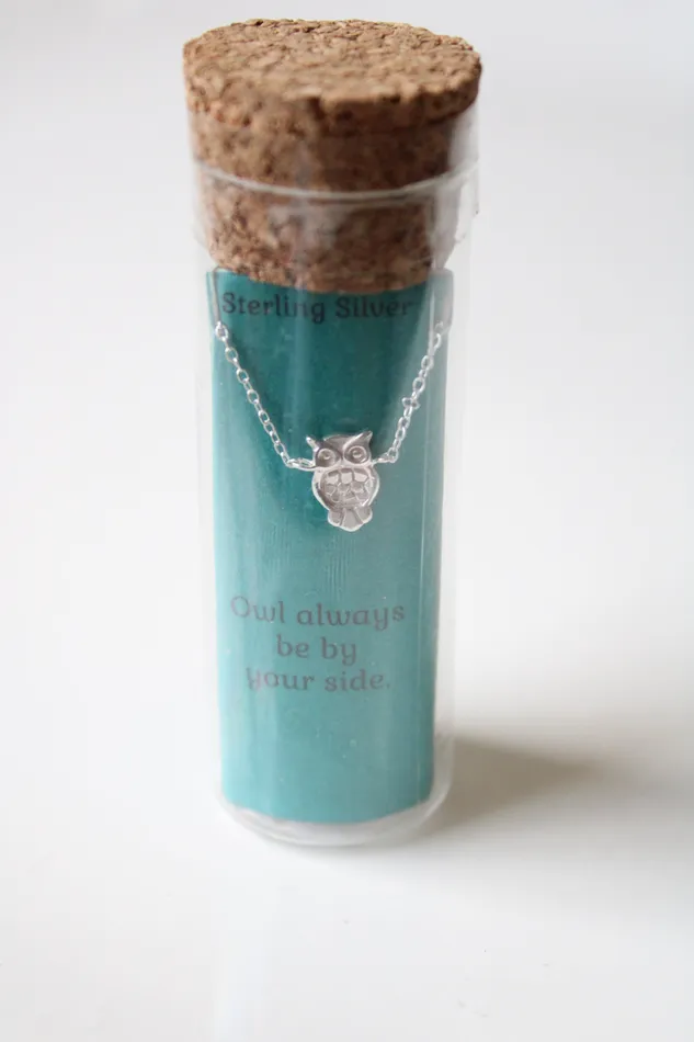 NEW Kohls Sterling Silver Owl Pendant Necklace Jubilee Thrift Necklaces