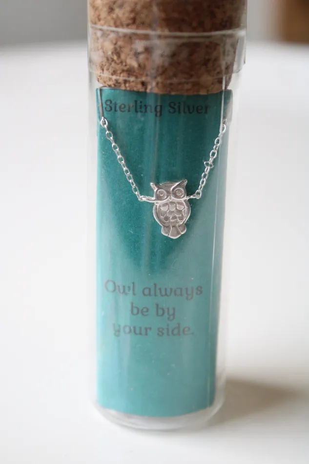 NEW Kohls Sterling Silver Owl Pendant Necklace Jubilee Thrift Necklaces