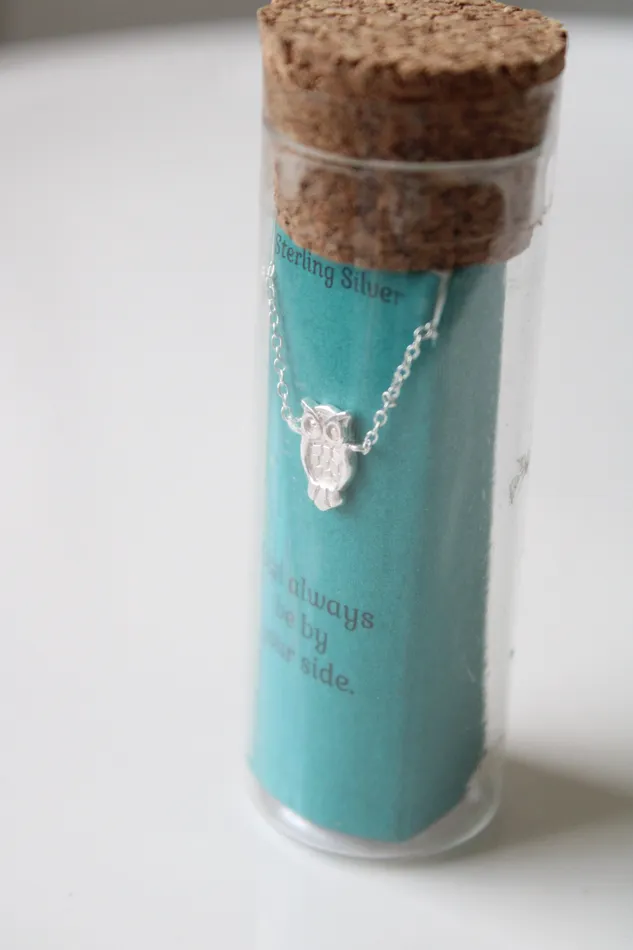 NEW Kohls Sterling Silver Owl Pendant Necklace Jubilee Thrift Necklaces