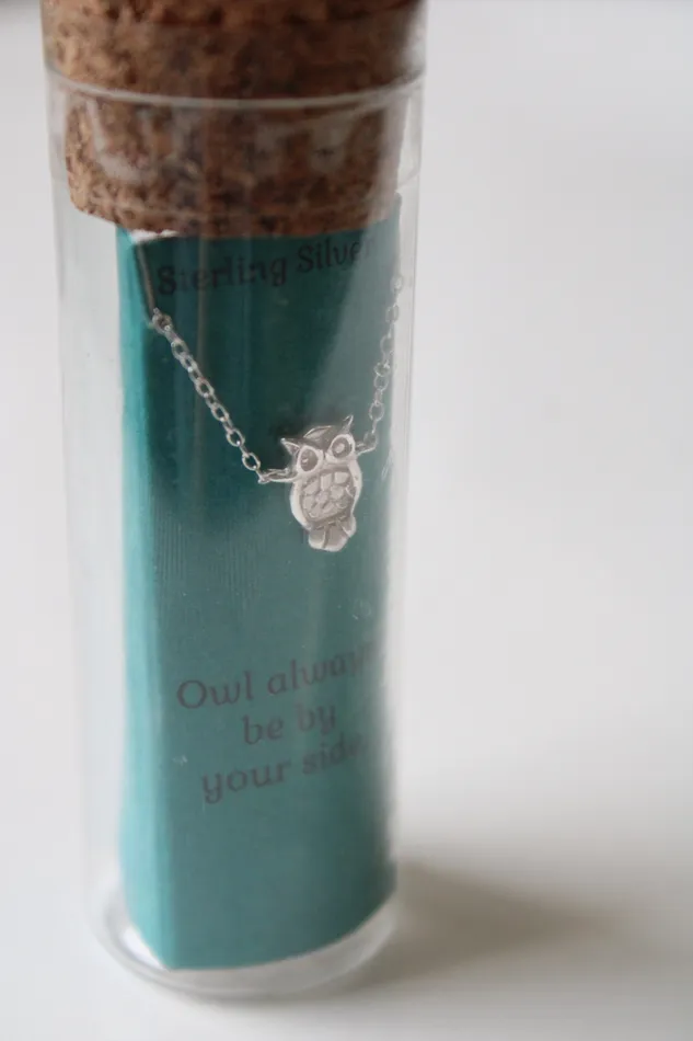 NEW Kohls Sterling Silver Owl Pendant Necklace Jubilee Thrift Necklaces
