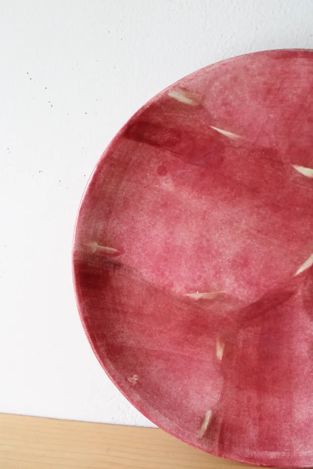 Pfaltzgraff Flower Market Pink Dinner Plate 10 Pfaltzgraff Earrings