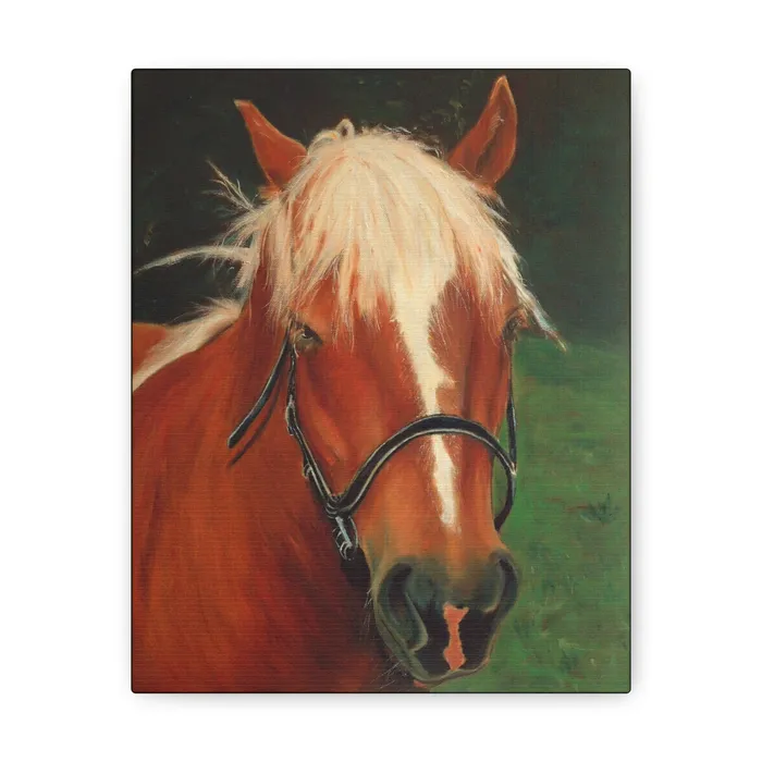 Portraits by NC Earrings Brown Horse Gallery Wrap Canvas Print