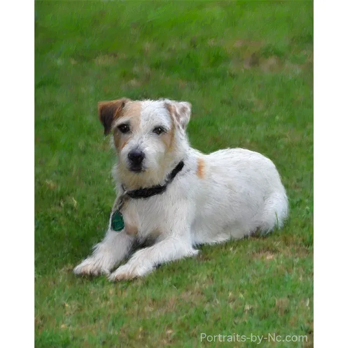 Portraits by NC Earrings Russell Terrier Digital Portrait