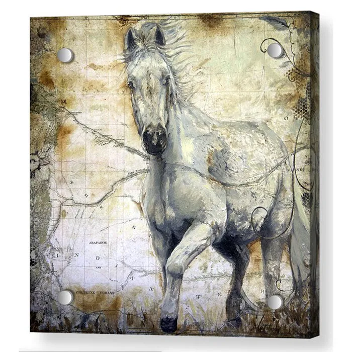 Portraits by NC Earrings Whispers Across the Steppe Acrylic Print