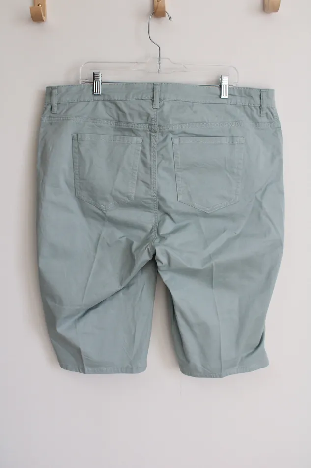 Purple More Earrings Purple More Sage Shorts 20W