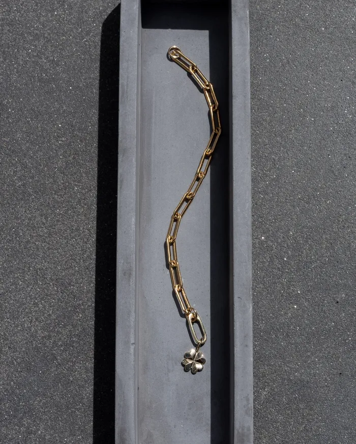 RACHEL LYNN CHICAGO Bracelets Gold Filled Paperclip Small Clasp Bracelet