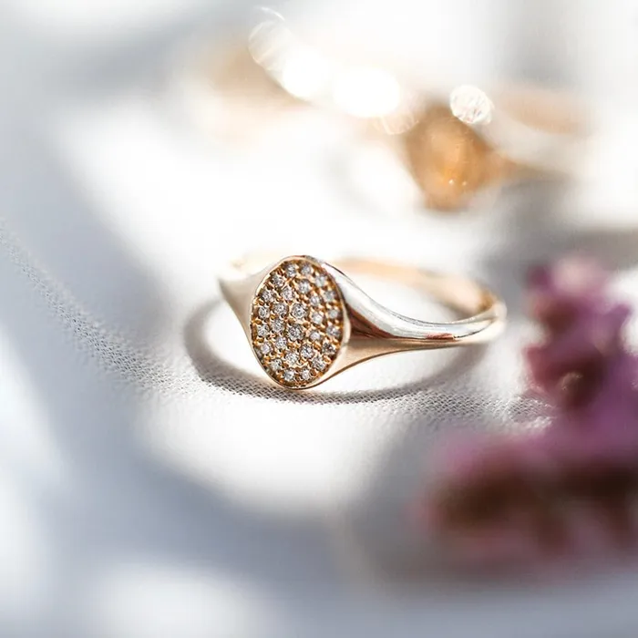 Rings Consider the Wldflwrs Spark Namesake Diamond Signet