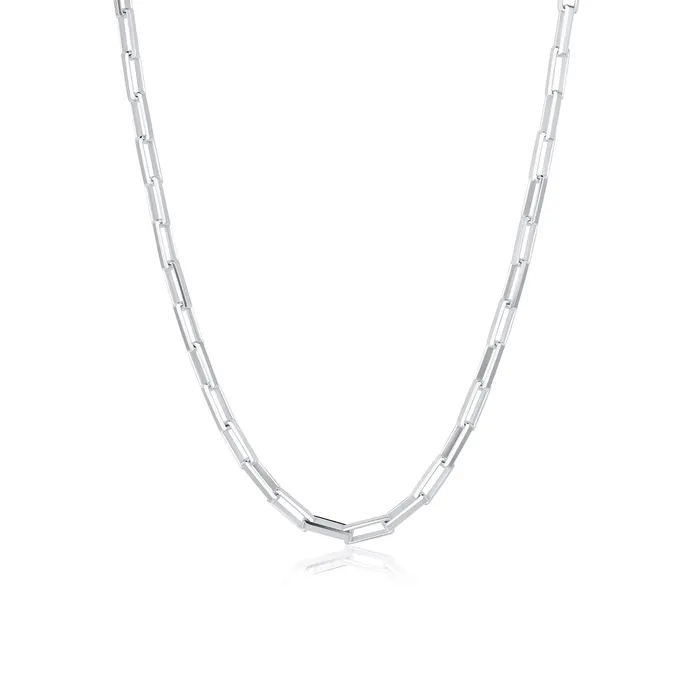 Silver Long Link Necklace Consider the Wldflwrs Necklaces
